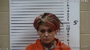 Mugshot of Jennifer Lynn Denmark booked in Cherokee County, North Carolina on July 3, 2026