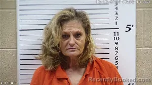 Mugshot of Rhonda Renee Daniels booked in Cherokee County, North Carolina on October 10, 2026