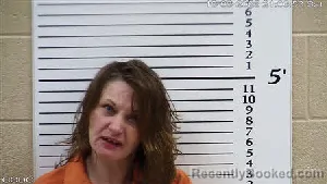 Mugshot of Sawyer Arie Edwards booked in Cherokee County, North Carolina on October 3, 2026