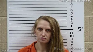 Mugshot of Tosha Savanah Eller booked in Cherokee County, North Carolina on June 19, 2026
