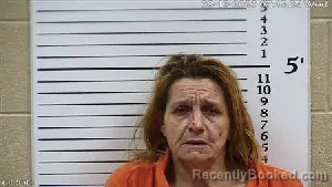 Mugshot of Angela Anderson Freeman booked in Cherokee County, North Carolina on August 19, 2026
