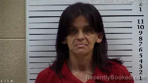 Mugshot of Ashley Dawn Greene booked in Cherokee County, North Carolina on September 9, 2026