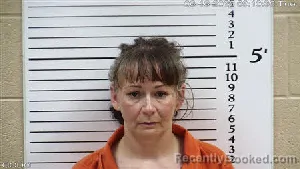 Mugshot of SONJA LEIA GODSEY booked in Cherokee County, North Carolina on June 16, 2026