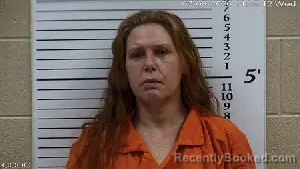 Mugshot of Christy Michelle Hawkins booked in Cherokee County, North Carolina on July 8, 2026