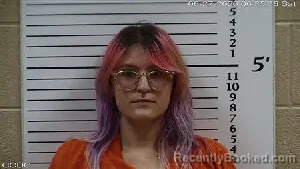 Mugshot of Danielle Nichole Hubbard booked in Cherokee County, North Carolina on June 27, 2026