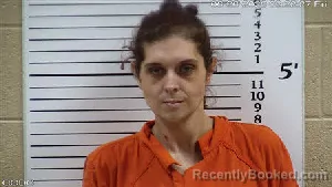 Mugshot of Emily Mashburn Hedden booked in Cherokee County, North Carolina on June 26, 2026