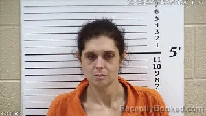 Mugshot of Emily Mashburn Hedden booked in Cherokee County, North Carolina on October 6, 2026