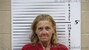 Mugshot of Terrie Dale Hogsed booked in Cherokee County, North Carolina on May 18, 2026