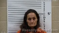 Mugshot of ERICA RAE JENKINS