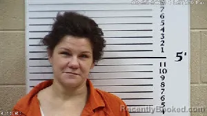 Mugshot of Heather Kaye Jenkins booked in Cherokee County, North Carolina on September 25, 2026