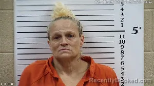 Mugshot of Dorothea Ann Knibbs booked in Cherokee County, North Carolina on August 18, 2026