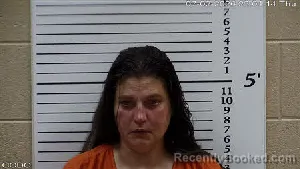 Mugshot of Jill Lanette Koehn booked in Cherokee County, North Carolina on July 2, 2026