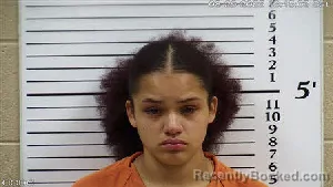 Mugshot of Lynzey Alexis Kenner booked in Cherokee County, North Carolina on August 29, 2026