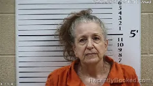 Mugshot of Robin Kelly Kolar booked in Cherokee County, North Carolina on August 12, 2026