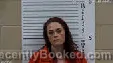 Mugshot of Sasha Ryann Kingsley booked in Cherokee County, North Carolina on March 27, 2026