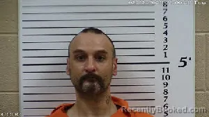 Mugshot of Timothy Harrison Knibbs booked in Cherokee County, North Carolina on August 18, 2026