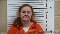 Mugshot of Lisa Diane Lambert