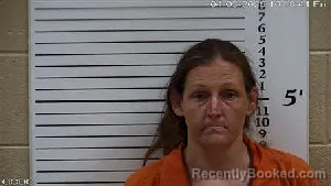 Mugshot of Priscilla Marie Leonard booked in Cherokee County, North Carolina on April 3, 2026