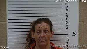 Mugshot of Priscilla Marie Leonard booked in Cherokee County, North Carolina on July 24, 2026
