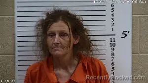 Mugshot of Priscilla Marie Leonard booked in Cherokee County, North Carolina on October 3, 2026