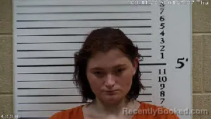 Mugshot of Siera Kaitlin Lowe booked in Cherokee County, North Carolina on June 11, 2026