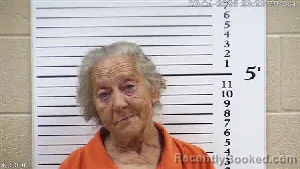 Mugshot of TOOKEA MARIE LYNN booked in Cherokee County, North Carolina on July 4, 2026