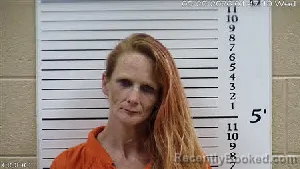 Mugshot of VALARIE MARIE-RENEE LINGO booked in Cherokee County, North Carolina on May 20, 2026