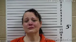 Mugshot of Lisa Bauser Mata booked in Cherokee County, North Carolina on April 16, 2026