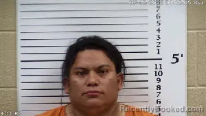 Mugshot of Daniel Pop Chen booked in Cherokee County, North Carolina on July 18, 2026