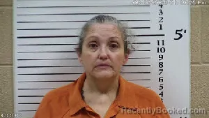 Mugshot of DEENA DECKER PAYNE booked in Cherokee County, North Carolina on June 12, 2026