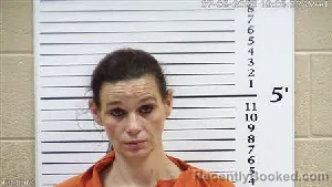 Mugshot of Constance Paige Richardson booked in Cherokee County, North Carolina on July 8, 2026