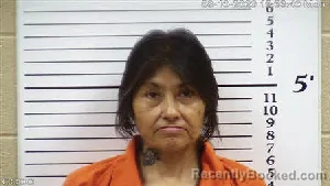 Mugshot of Denise Ralyne Rattler booked in Cherokee County, North Carolina on August 10, 2026