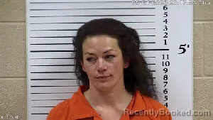 Mugshot of Robin Beverley Reinholtz-Cecconi booked in Cherokee County, North Carolina on May 21, 2026