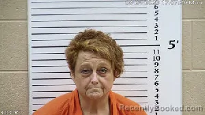 Mugshot of Susan Mcafee Russell booked in Cherokee County, North Carolina on August 24, 2026