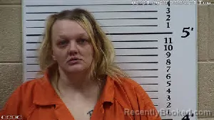 Mugshot of Whitney Ann Radford booked in Cherokee County, North Carolina on March 31, 2026