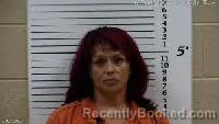 Mugshot of Cristin Elise Stinchcomb