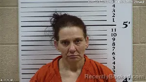 Mugshot of Deanna Marie Shaw booked in Cherokee County, North Carolina on May 27, 2026