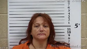 Mugshot of JOLENA LORELEE SUTTON booked in Cherokee County, North Carolina on April 3, 2026