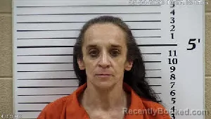 Mugshot of Cassandra Brooks Taylor booked in Cherokee County, North Carolina on May 4, 2026