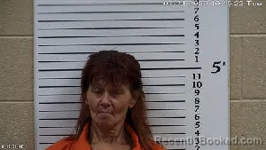 Mugshot of Christy Ann Tomlin booked in Cherokee County, North Carolina on July 21, 2026