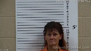 Mugshot of Christy Ann Tomlin booked in Cherokee County, North Carolina on August 27, 2026