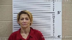 Mugshot of Alicia Rita Welborn booked in Cherokee County, North Carolina on August 25, 2026