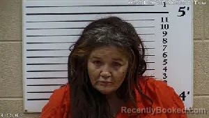 Mugshot of Amanda Sheree Whitener booked in Cherokee County, North Carolina on March 31, 2026