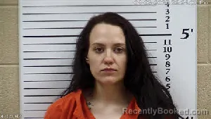 Mugshot of Makenna Elaine Wilson booked in Cherokee County, North Carolina on April 3, 2026