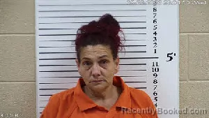 Mugshot of Mary Jane Woodring booked in Cherokee County, North Carolina on August 26, 2026