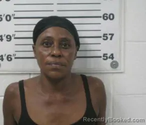 Mugshot of AVIS BUNDRLINE TWINE booked in Chowan County, North Carolina on April 11, 2026