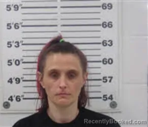 Mugshot of AMY PERKINS booked in Chowan County, North Carolina on March 18, 2026