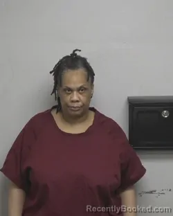 Mugshot of TAMARA YVETTE ERVIN booked in Cleveland County, North Carolina on July 2, 2026