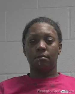 Mugshot of BRINTLY MONIQUE WRAY booked in Cleveland County, North Carolina on July 24, 2026