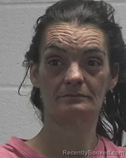 Mugshot of JESSICA MAE WEASE